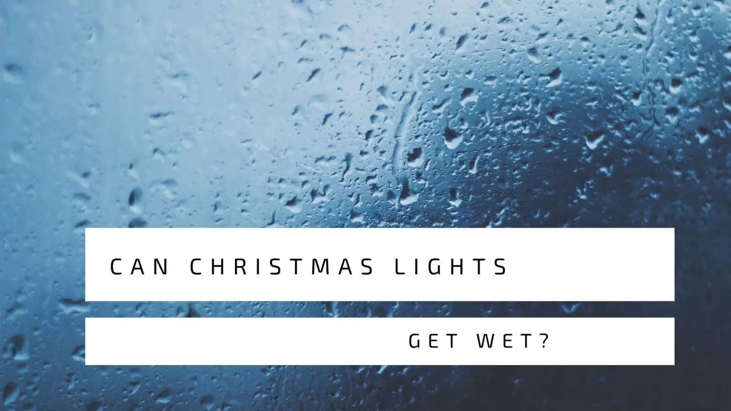 Can Christmas Lights Get Wet?