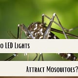 Do LED Lights Attract Mosquitoes?